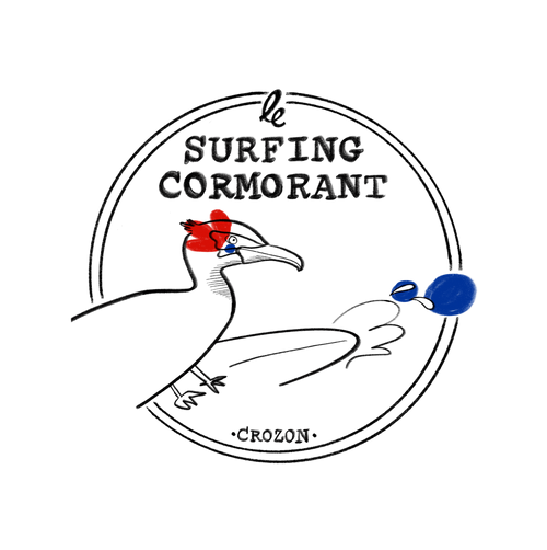 Le Surfing Cormorant